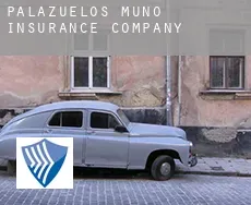 Palazuelos de Muñó  insurance company