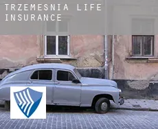 Trzemeśnia life insurance