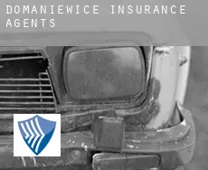 Domaniewice  insurance agents