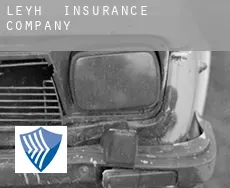 Leyh insurance company