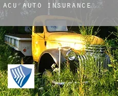 Açu  auto insurance