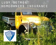 Luby-Betmont  homeowners insurance