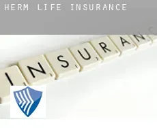 Herm  life insurance