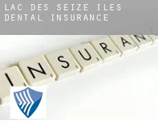 Lac-des-Seize-Îles  dental insurance