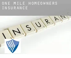 One Mile  homeowners insurance