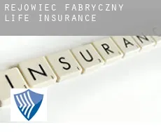 Rejowiec Fabryczny  life insurance