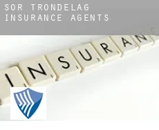 Sør-Trøndelag  insurance agents