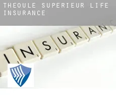 Théoule-Supérieur  life insurance