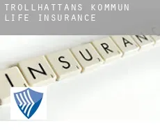 Trollhättans Kommun  life insurance