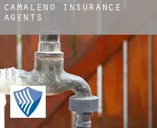 Camaleño insurance agents