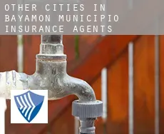 Other cities in Bayamon Municipio  insurance agents