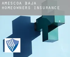 Améscoa Baja  homeowners insurance