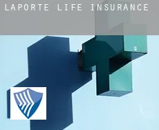 Laporte  life insurance