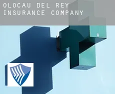 Olocau del Rey  insurance company