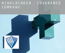 Wißgoldingen  insurance company