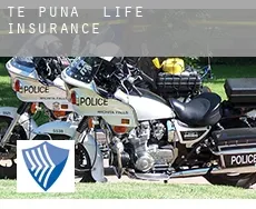 Te Puna life insurance