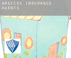 Angicos  insurance agents