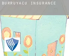 Burruyacú  insurance