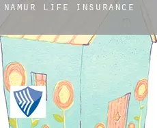 Namur Province  life insurance