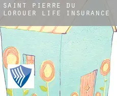 Saint-Pierre-du-Lorouër  life insurance