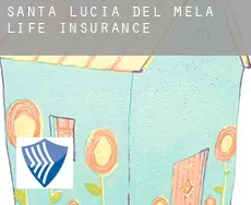 Santa Lucia del Mela  life insurance