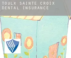 Toulx-Sainte-Croix  dental insurance