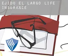 Ejido El Largo  life insurance