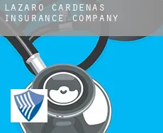 Lazaro Cardenas  insurance company